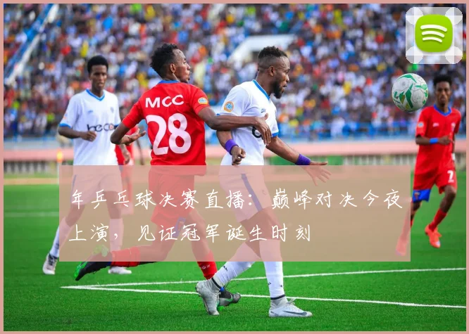 年乒乓球决赛直播:巅峰对决今夜上演,见证冠军诞生时刻