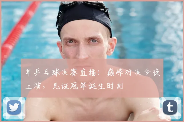 年乒乓球决赛直播：巅峰对决今夜上演，见证冠军诞生时刻